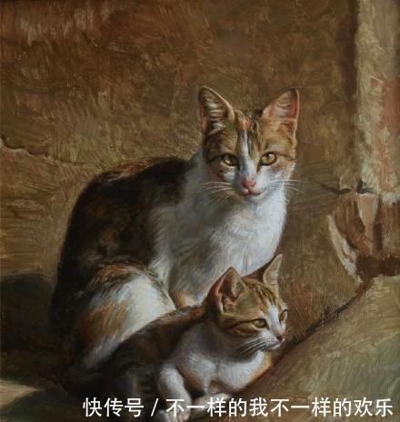 你站在窗外看风景,看风景的猫在窗外看你