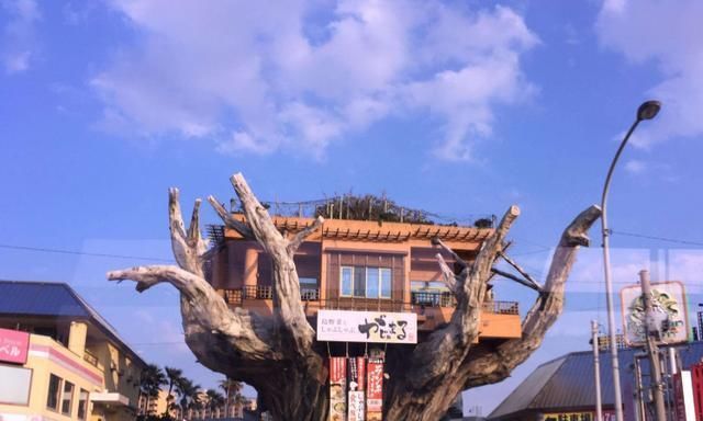 世界上最“奇异”的餐馆,一个在水里,两个在树上