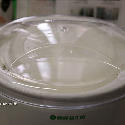  『蔓越莓干』哈密瓜蔓越莓酸奶杯