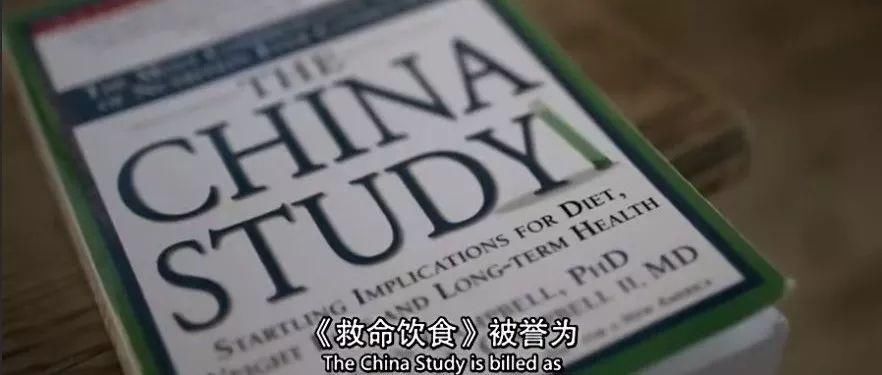 不吃肉就能瘦?BBC揭示健康饮食的真相，啪啪打脸无数网红