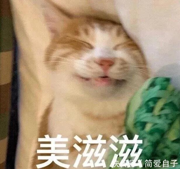  [今春]外套+连衣裙=今春王炸CP！时髦又简单！