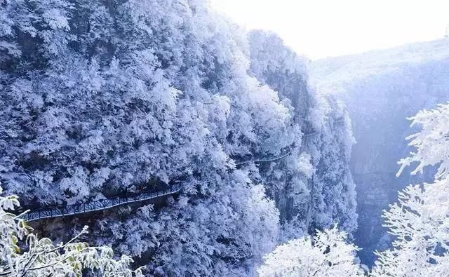 一定有一个地方,是你的心之所向