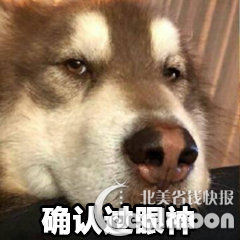 还没试过转运?你想知道的一切都在这里了