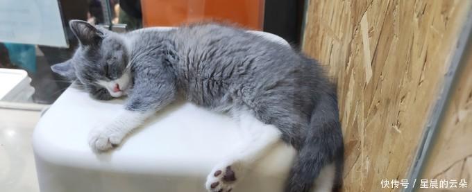  【开关机键】红米出了个旗舰机，小米可还扛得住！