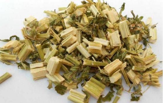  「些野草」益母草，女性的好伴侣，调理经血，活血化瘀，消除水肿，延缓衰老