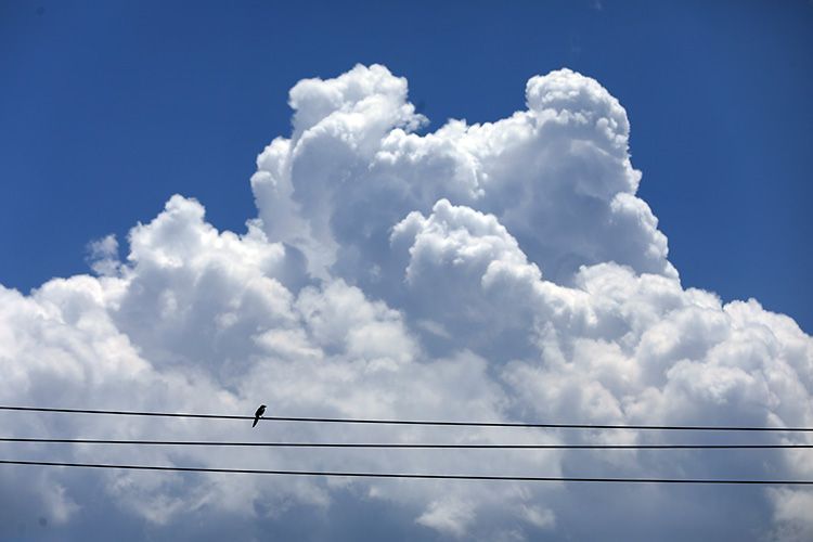  蓝天白云|北京发布雷电蓝色预警 阵雨与蓝天白云交相呼应|组图