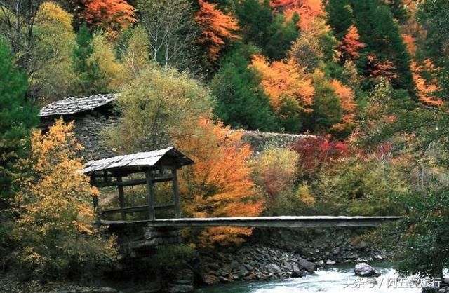 四川计划2020年开通一条高速，全长172公里，有你家乡吗？