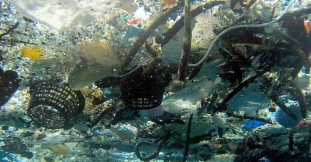 逼疯上海人的“垃圾分类”背后，藏着14亿中国人不知道的残忍真相