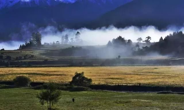 再过一个月，国内这处桃花盛景就要藏不住啦！囊括高原最美雪山！