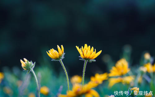善解人意@心思细腻,善解人意,很会替别人着想,越过越幸福的四大生肖女