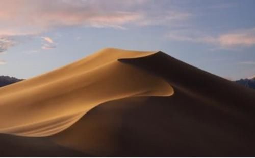  「圈养」沙漠救星来了！中国沙漠圈养150只“猛兽”，一天狂吐40