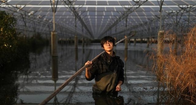 农村机会来了！中央一号文件大力支持这些产业发展！有适合你的吗