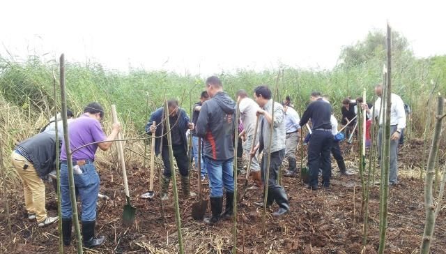  「好端端」农村兴起“种树热”，好端端的土地，为啥不种粮食种