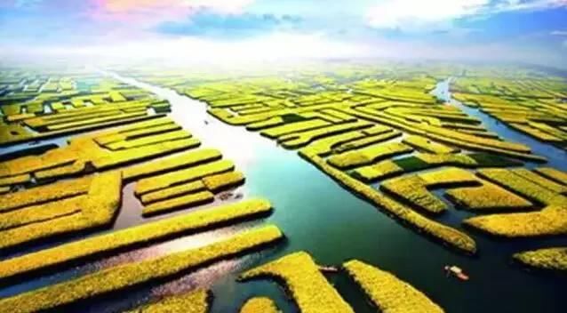 最江南的花海：惊艳不输婺源，情调不输威尼斯