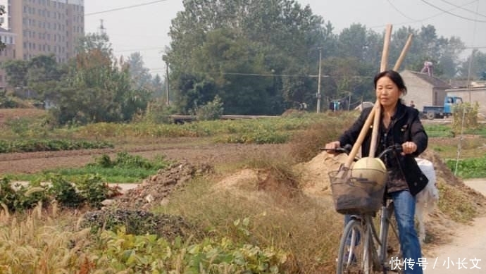  「人人」农民不种地改种坚果树, 一斤50多元, 一棵树年赚上千,