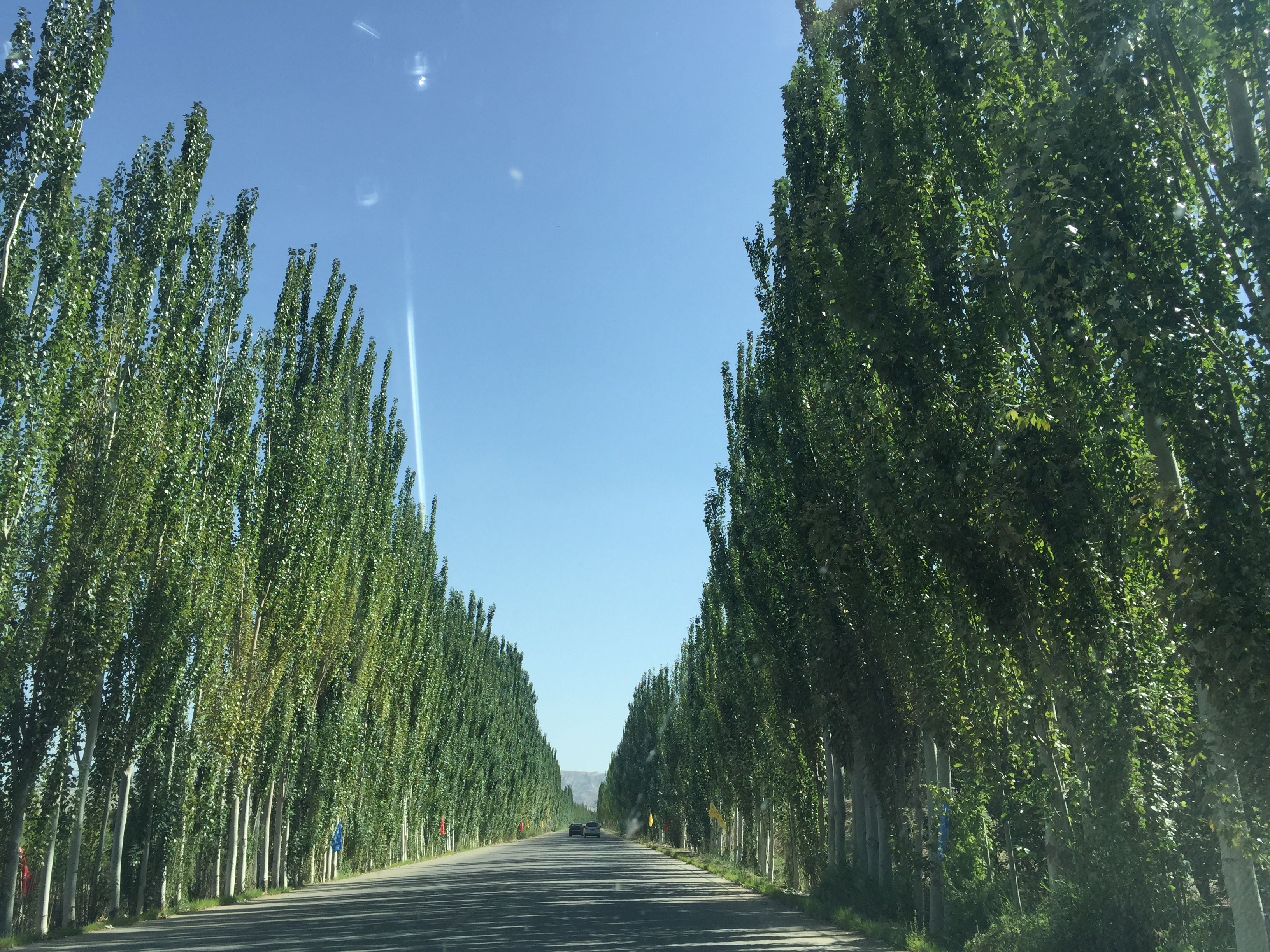 体验最美独库公路，探秘大美风情新疆-中篇之小景点也经典