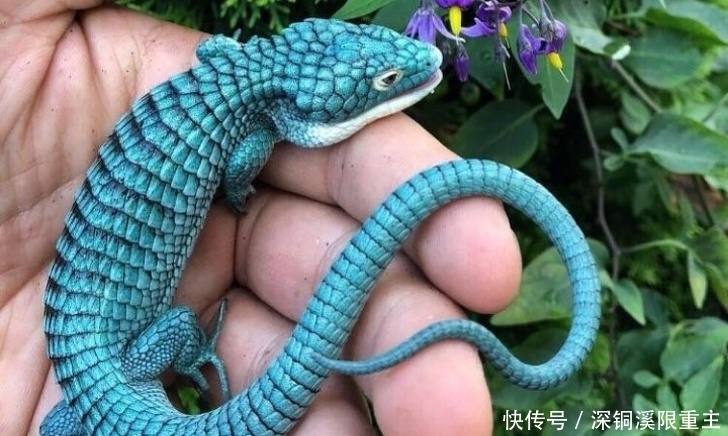 25张罕见的照片,展现自然奇观