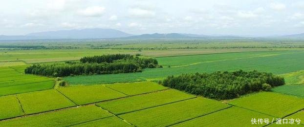  「关系」中央宅基地新规定，农村有房有地的看过来！5项政策关系