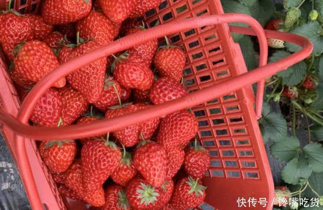  锅里煮■4月遇到这水果别嫌贵，买几斤丢锅里煮一煮，价格瞬间翻两倍！