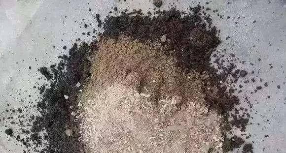  【干净的塑料】发现了一种“养花神器”——塑料瓶