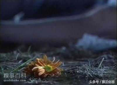 品江湖】张三丰之父尹志平的传奇人生,金庸不