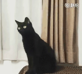 网曝老人电梯里大便?真相来了,事实并非如此......