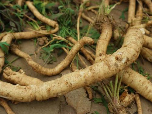  「赵老板说」农民种植一种农作物，投入500元，亩收入5千元，秘