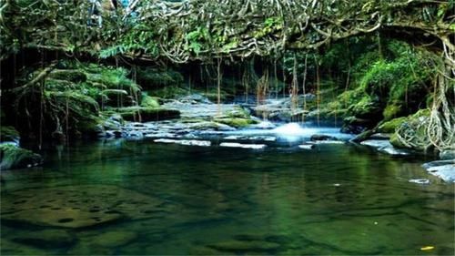 亚洲最干净的村庄：垃圾处理比城市做得还好，竟然在印度？