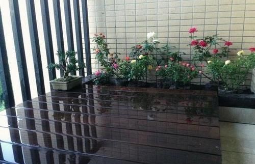  『参观』老公花200在阳台砌了个鱼池，省钱又漂亮，邻居踏破门槛来参观