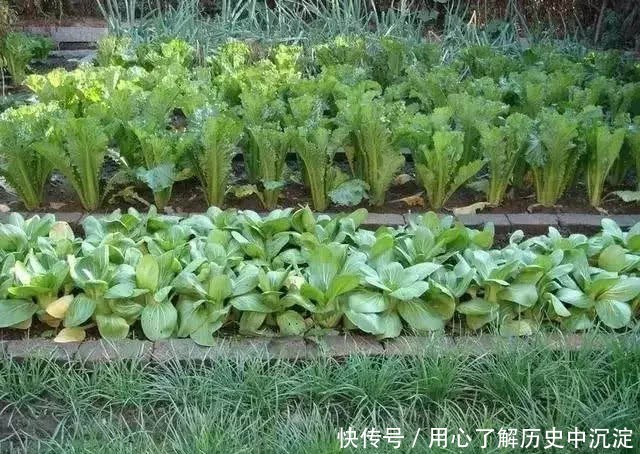  新房@不在农村住了，为什么很多人还要回老家盖一栋新房？