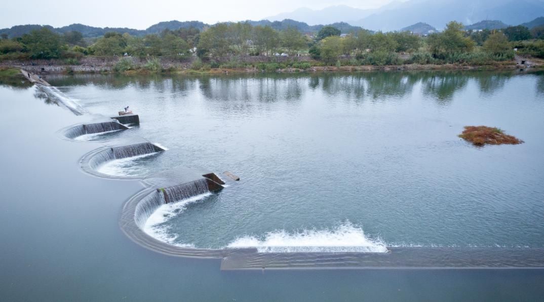  「表白」茶香松阳| 此刻，只想收下这份乡愁，表白这条长河