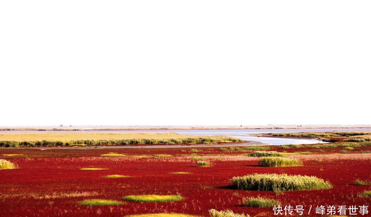  『红色』被红色包围的海岸，树上如同铺满了红色的多肉，就在辽河入海口