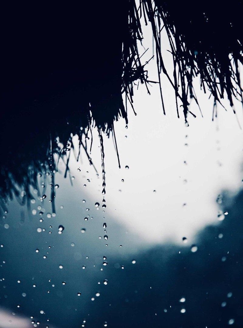 『雨点将画面晕染成』一场春雨一场暖,春雨怎么拍才有味这些作品给你灵感