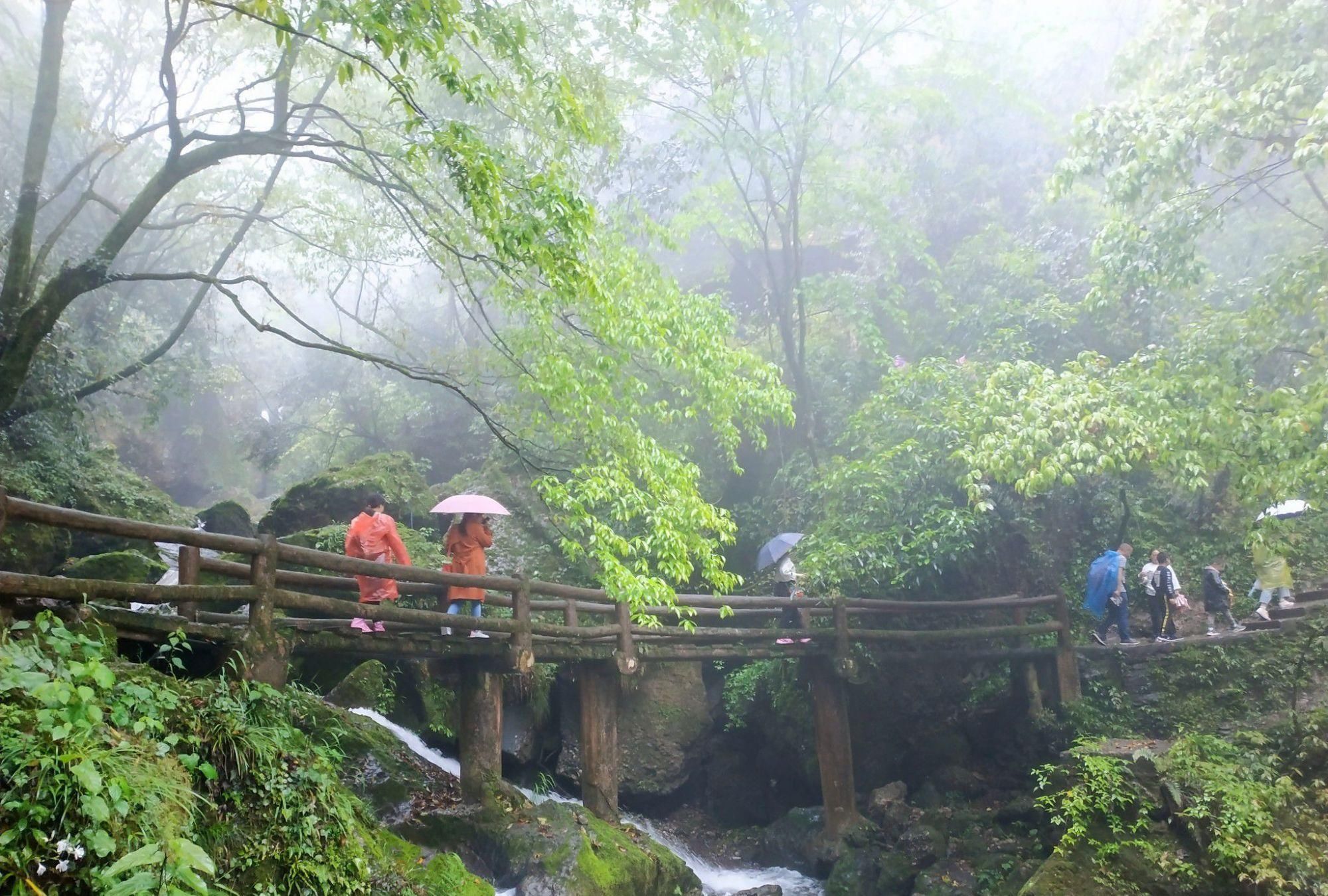 成都周边最良心的5A景区，门票仅要20元，去过的人却不多