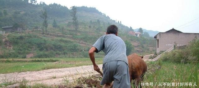 农民60了还干活，专家不嫌累老农反问5句话，专家无言以对！