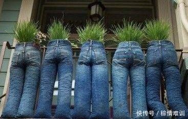 女子喜欢收集牛仔裤,在裤子里种花养草,第一次见被吓一跳