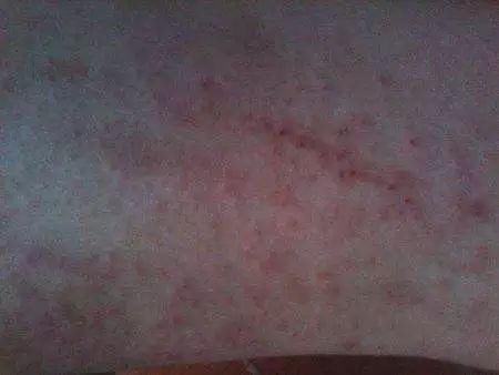 你走光的样子,可真美!这款安全裤火了整个娱乐圈!