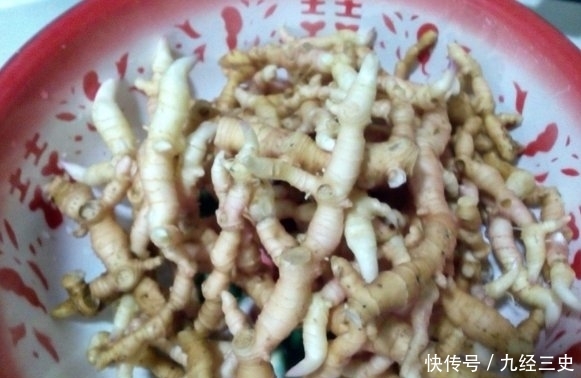  「见过」过去野外常见的一种植物，如今浑身是宝，不少农民靠种