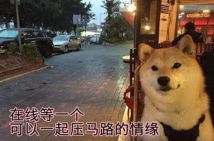  [开学了]开学了！台风要来凑热闹！13号台风玲玲或明天生成！