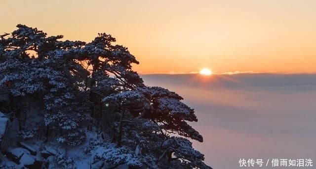 摄影学：完整的摄影画面结构，主体是突出的、背景合适的