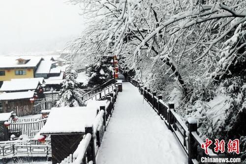 中国雪乡迎来立冬后“应季雪”