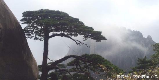 看最美黄山，奇峰怪石与云海，领略自然给你的震撼