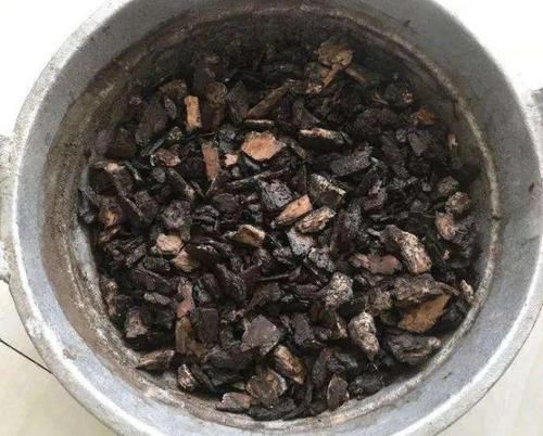 『路边』乡间趣事!路边捡的“3种废料”,转身就成“养花宝”,养花再也不怕烂根了