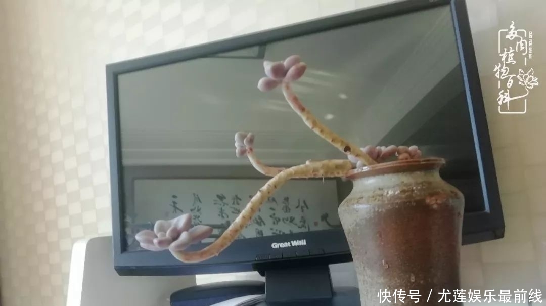 『那种』我爱的,就是你的存在!只要努力该来的都在路上!