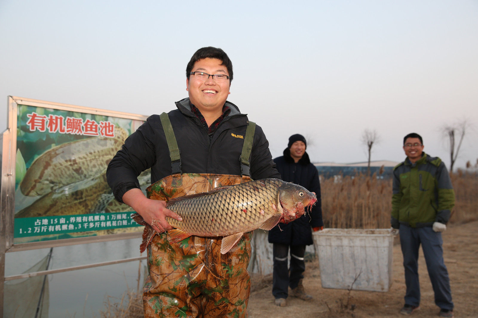  [陷地治理]收获各种鱼3万多公斤，王楼煤矿生态养殖大丰收