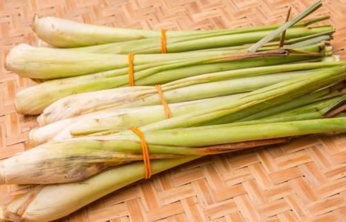 螨虫为什么会导致脱发呢?我们该怎么除螨呢?