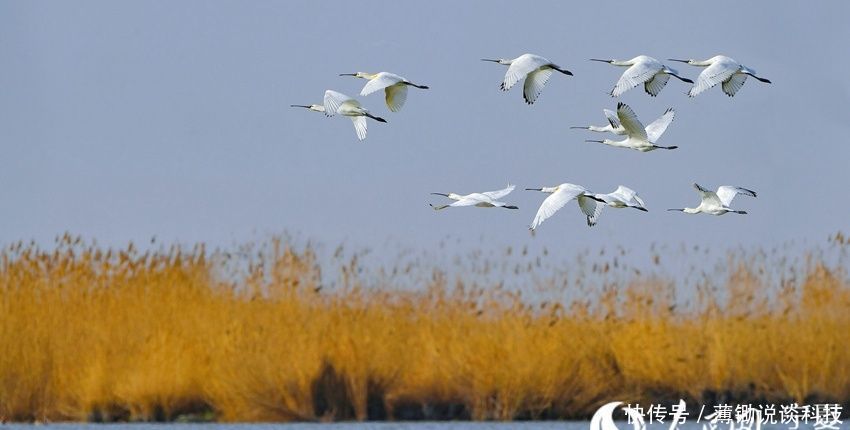 宁夏沙湖5A级景区推出金秋免票优惠措施