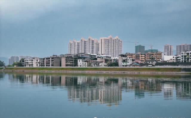 【秘境】今年清明小长假不能去远方,在家云追逐野生辛夷花秘境!