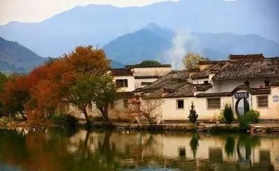  『满园』一方院子，满园芬芳