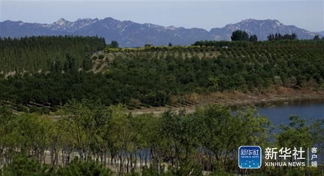 从“沙遍地”到“绿满园” 看潮白河畔沙坑“变形记”